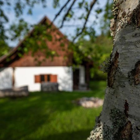 Holiday Home Srednja Vas Средня Вас-у-Бохіню Екстер'єр фото