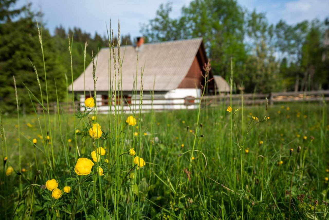 Holiday Home Srednja Vas Средня Вас-у-Бохіню Екстер'єр фото